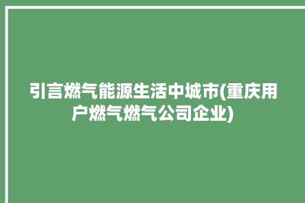 引言燃气能源生活中城市(重庆用户燃气燃气公司企业)