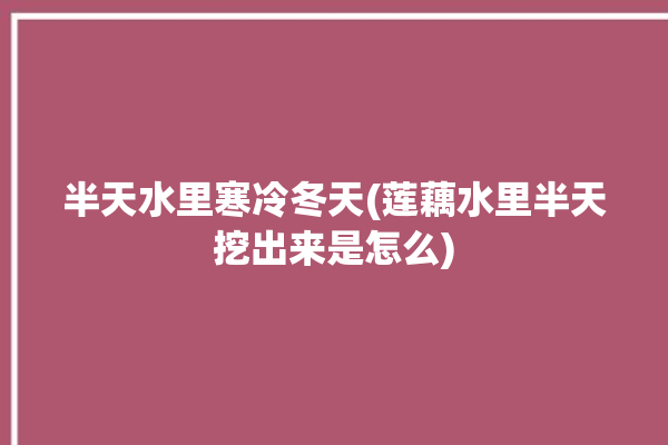 半天水里寒冷冬天(莲藕水里半天挖出来是怎么)