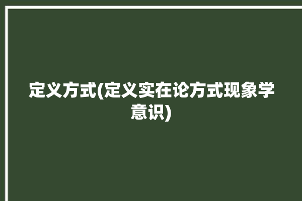 定义方式(定义实在论方式现象学意识)