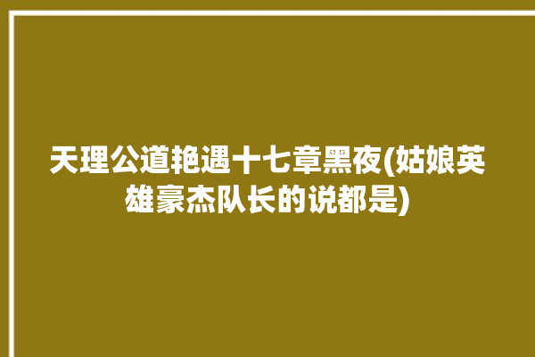 天理公道艳遇十七章黑夜(姑娘英雄豪杰队长的说都是)