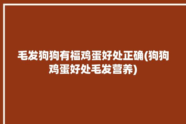 毛发狗狗有福鸡蛋好处正确(狗狗鸡蛋好处毛发营养)