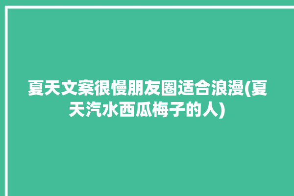 夏天文案很慢朋友圈适合浪漫(夏天汽水西瓜梅子的人)