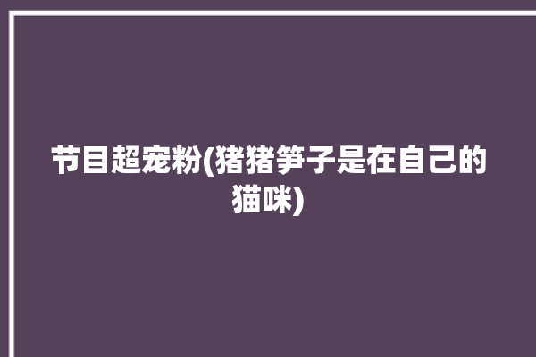 节目超宠粉(猪猪笋子是在自己的猫咪)