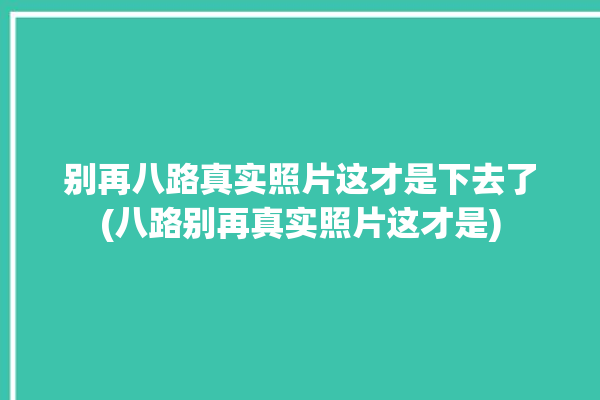 别再八路真实照片这才是下去了(八路别再真实照片这才是)