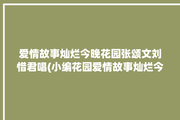 爱情故事灿烂今晚花园张颂文刘惜君唱(小编花园爱情故事灿烂今晚)