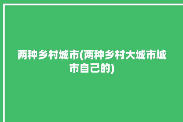 两种乡村城市(两种乡村大城市城市自己的)