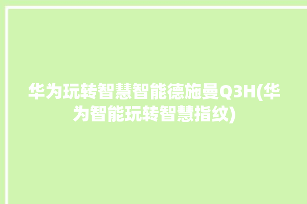 华为玩转智慧智能德施曼Q3H(华为智能玩转智慧指纹)