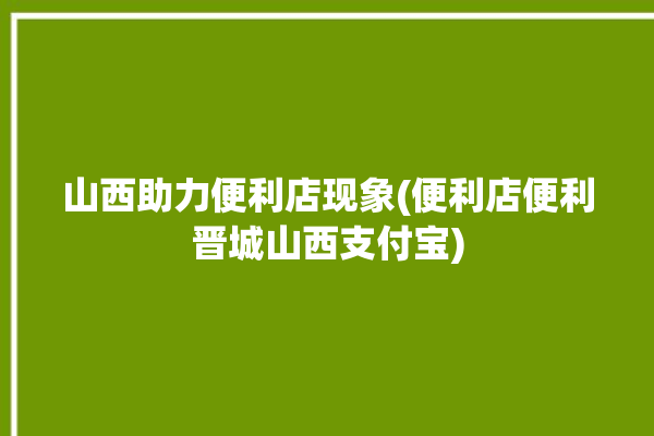 山西助力便利店现象(便利店便利晋城山西支付宝)