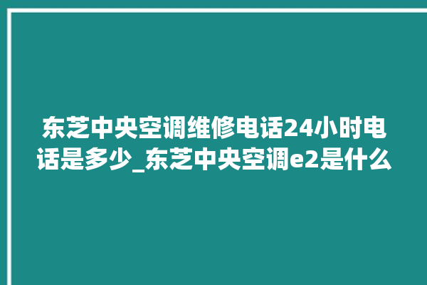 东芝中央空调维修电话24小时电话是多少_东芝中央空调e2是什么故障怎么解决 。东芝