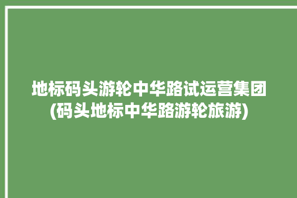 地标码头游轮中华路试运营集团(码头地标中华路游轮旅游)