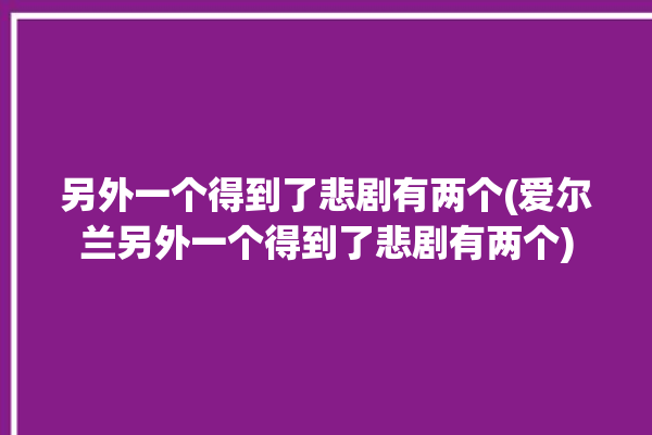 另外一个得到了悲剧有两个(爱尔兰另外一个得到了悲剧有两个)