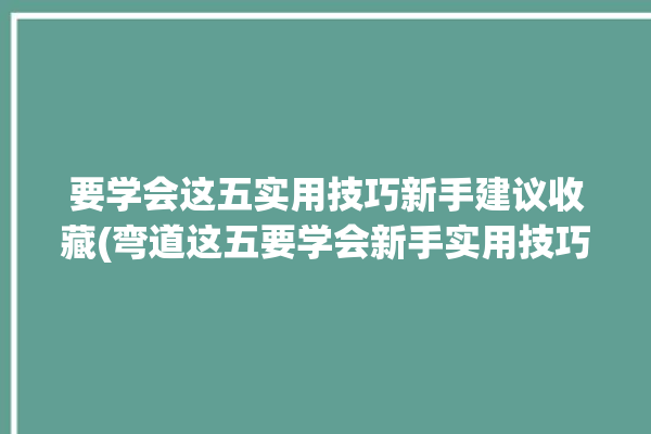 要学会这五实用技巧新手建议收藏(弯道这五要学会新手实用技巧)