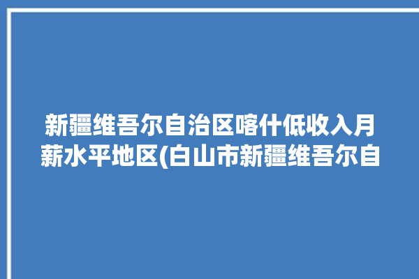 新疆维吾尔自治区喀什低收入月薪水平地区(白山市新疆维吾尔自治区喀什月薪低收入)