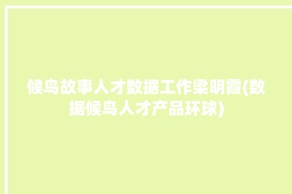 候鸟故事人才数据工作梁明霞(数据候鸟人才产品环球)