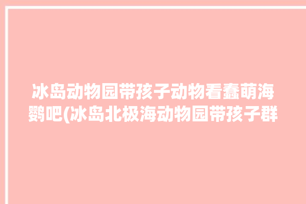 冰岛动物园带孩子动物看蠢萌海鹦吧(冰岛北极海动物园带孩子群岛)