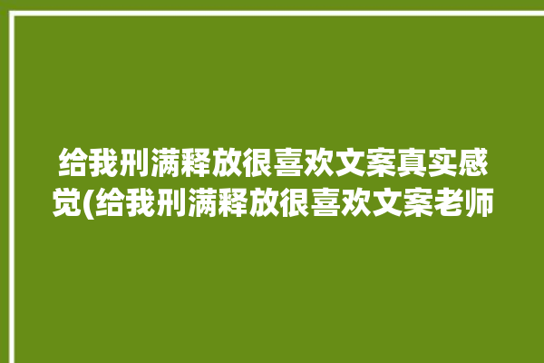 给我刑满释放很喜欢文案真实感觉(给我刑满释放很喜欢文案老师)