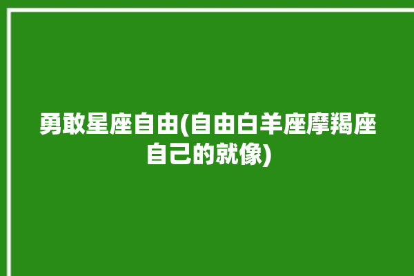 勇敢星座自由(自由白羊座摩羯座自己的就像)