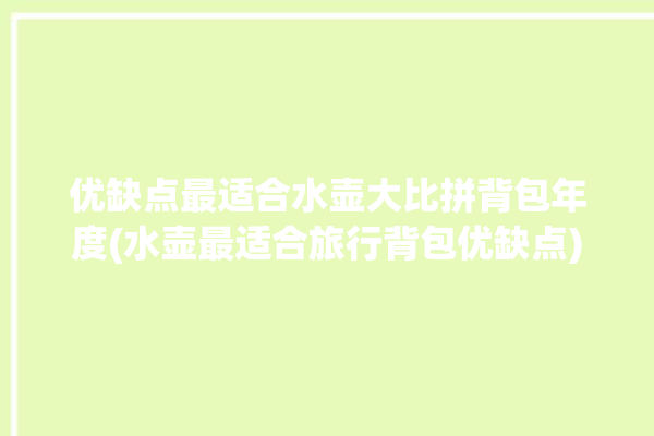 优缺点最适合水壶大比拼背包年度(水壶最适合旅行背包优缺点)