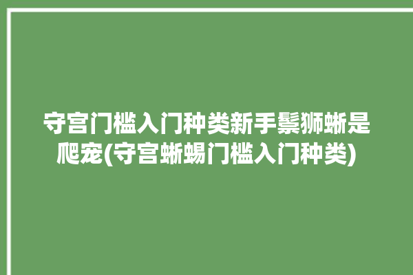 守宫门槛入门种类新手鬃狮蜥是爬宠(守宫蜥蜴门槛入门种类)