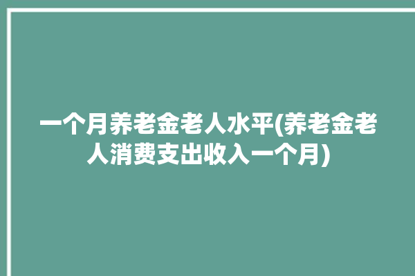 一个月养老金老人水平(养老金老人消费支出收入一个月)