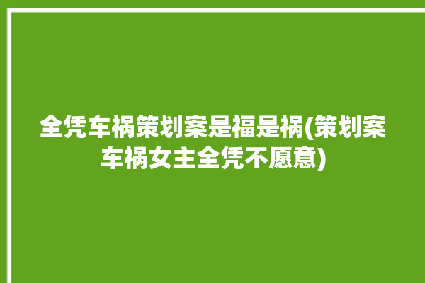 全凭车祸策划案是福是祸(策划案车祸女主全凭不愿意)