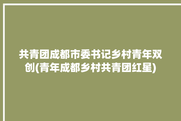 共青团成都市委书记乡村青年双创(青年成都乡村共青团红星)