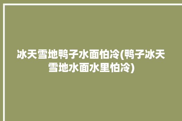 冰天雪地鸭子水面怕冷(鸭子冰天雪地水面水里怕冷)