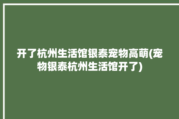 开了杭州生活馆银泰宠物高萌(宠物银泰杭州生活馆开了)