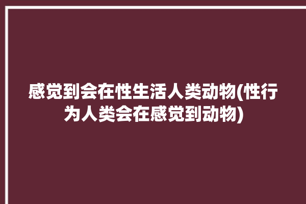 感觉到会在性生活人类动物(性行为人类会在感觉到动物)