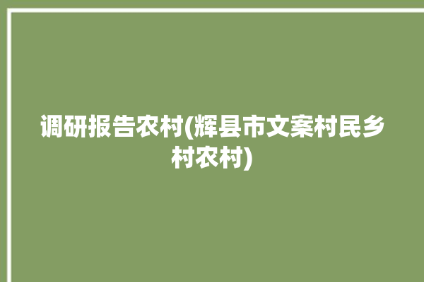 调研报告农村(辉县市文案村民乡村农村)