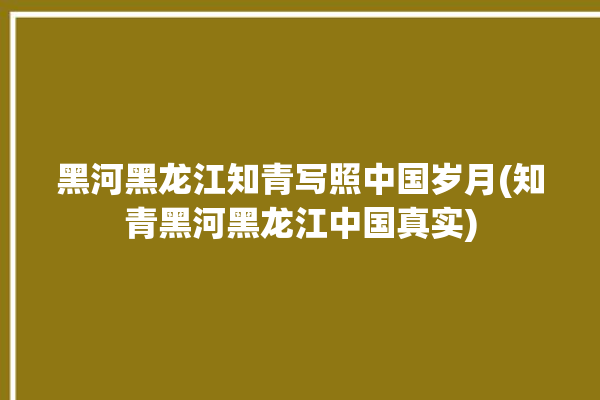 黑河黑龙江知青写照中国岁月(知青黑河黑龙江中国真实)