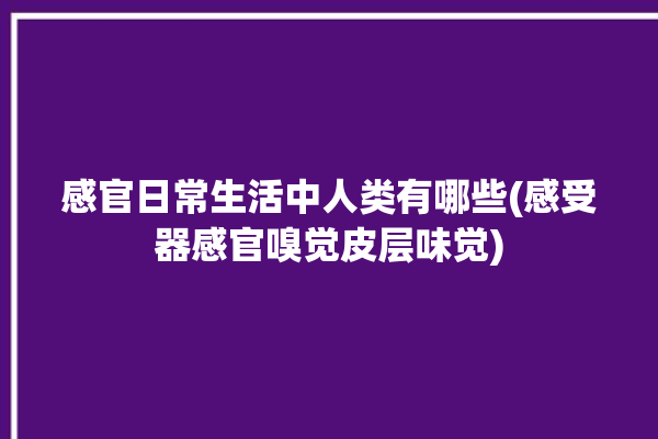 感官日常生活中人类有哪些(感受器感官嗅觉皮层味觉)