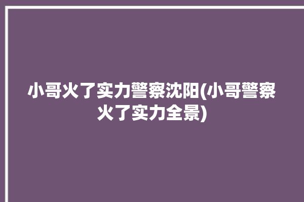 小哥火了实力警察沈阳(小哥警察火了实力全景)