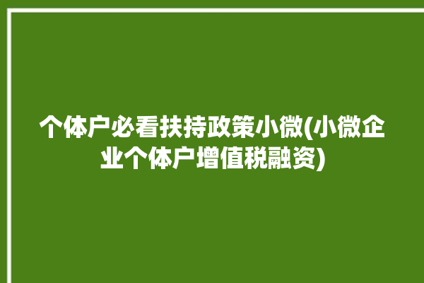 个体户必看扶持政策小微(小微企业个体户增值税融资)