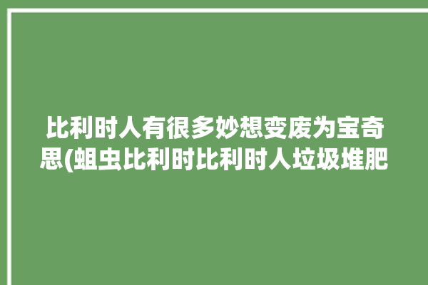 比利时人有很多妙想变废为宝奇思(蛆虫比利时比利时人垃圾堆肥)