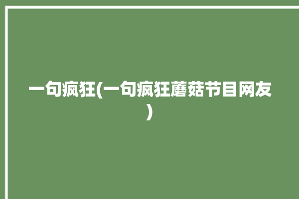 一句疯狂(一句疯狂蘑菇节目网友)