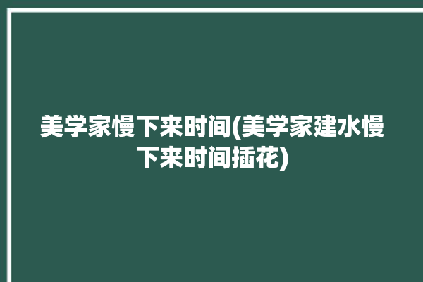 美学家慢下来时间(美学家建水慢下来时间插花)