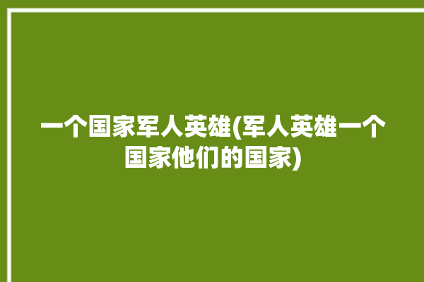 一个国家军人英雄(军人英雄一个国家他们的国家)