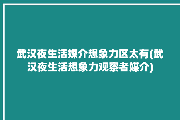 武汉夜生活媒介想象力区太有(武汉夜生活想象力观察者媒介)