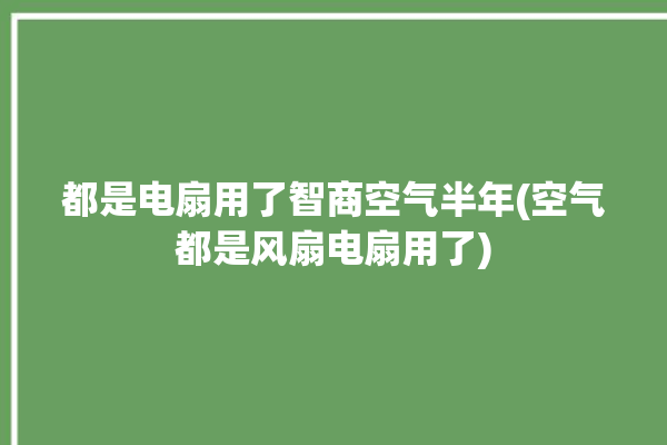 都是电扇用了智商空气半年(空气都是风扇电扇用了)