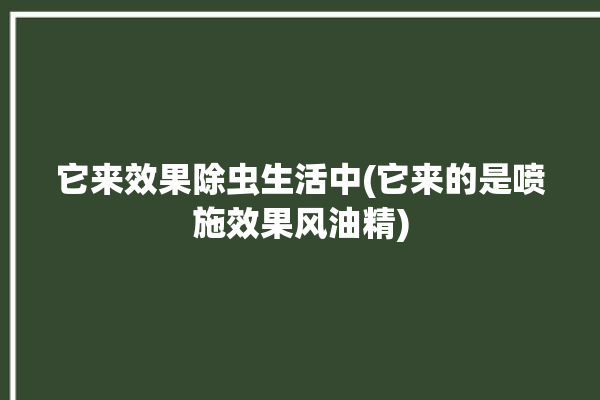 它来效果除虫生活中(它来的是喷施效果风油精)