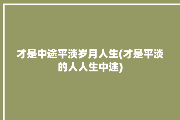 才是中途平淡岁月人生(才是平淡的人人生中途)