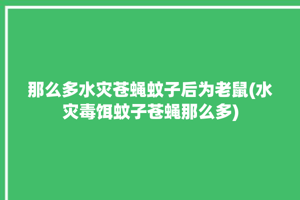 那么多水灾苍蝇蚊子后为老鼠(水灾毒饵蚊子苍蝇那么多)