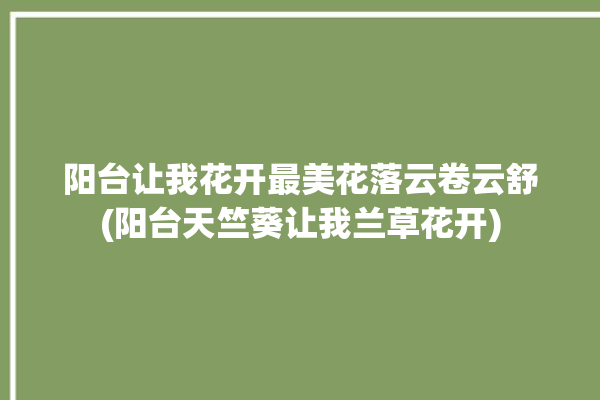 阳台让我花开最美花落云卷云舒(阳台天竺葵让我兰草花开)