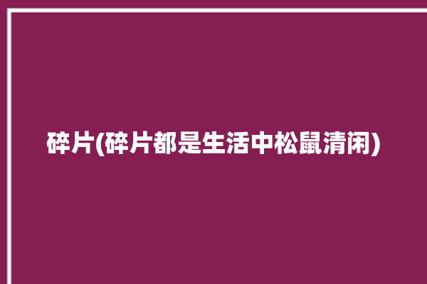 碎片(碎片都是生活中松鼠清闲)