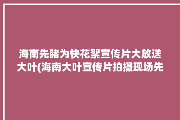 海南先睹为快花絮宣传片大放送大叶(海南大叶宣传片拍摄现场先睹为快)