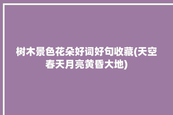 树木景色花朵好词好句收藏(天空春天月亮黄昏大地)