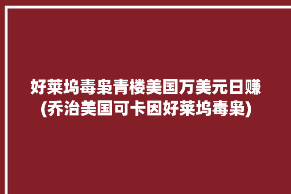 好莱坞毒枭青楼美国万美元日赚(乔治美国可卡因好莱坞毒枭)