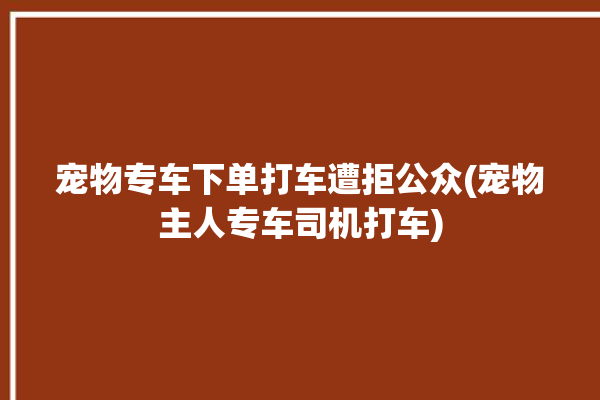 宠物专车下单打车遭拒公众(宠物主人专车司机打车)