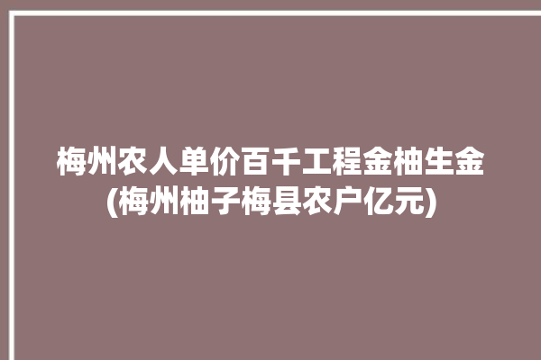 梅州农人单价百千工程金柚生金(梅州柚子梅县农户亿元)